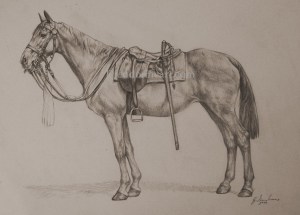 Cavalry Horse smpix cr