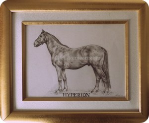 Hyperion framed smpix cr