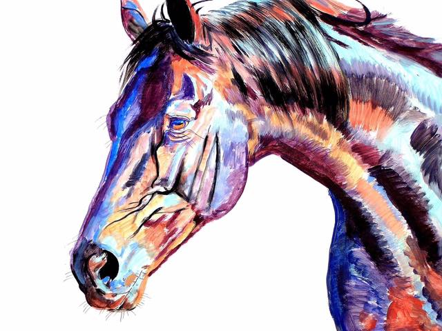 67402984_2416952748538792_2246060143944925184_n