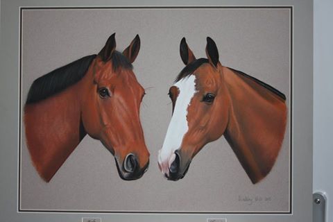 13872872_1401126049904090_6303931846287489349_n