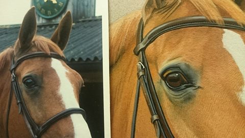 14039951_1421714911178537_882817954233646220_n