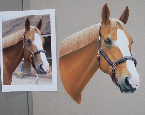 14591654_1480874388595922_1904141700154372957_n