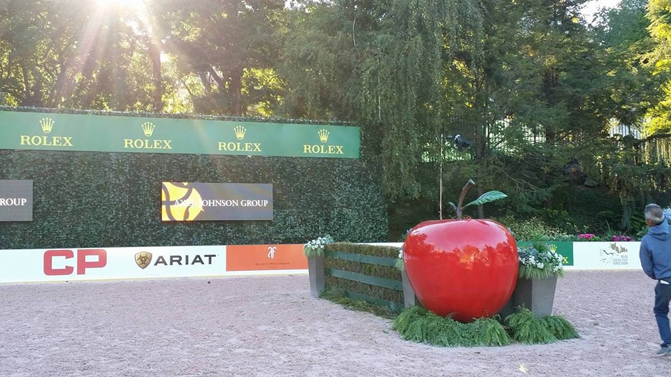 14585313_10209973300109747_338108603_n