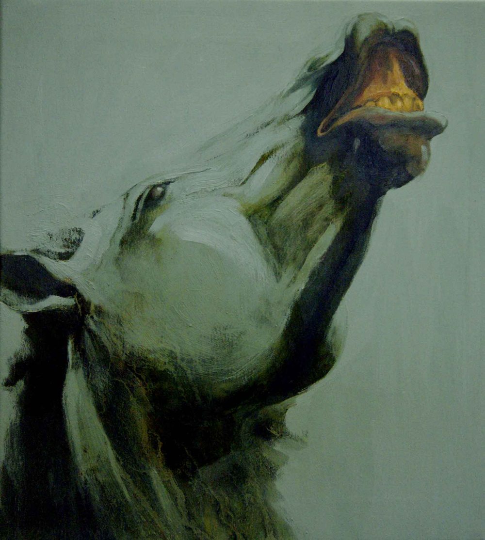 cara-i-2008-51-x-45-5cm