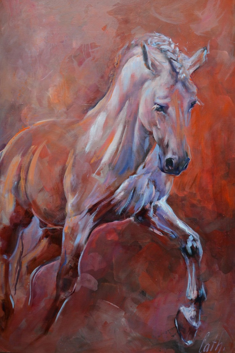 12901187_996392500445701_2111709417833340082_o-medium