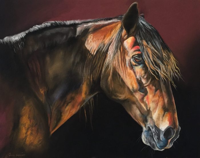 13691031_10100690073406010_8965498744241513535_o