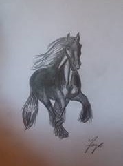 15723853_1375785662452979_397090260_n