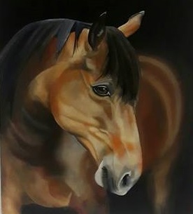 15782050_10154844112369808_718253435_n