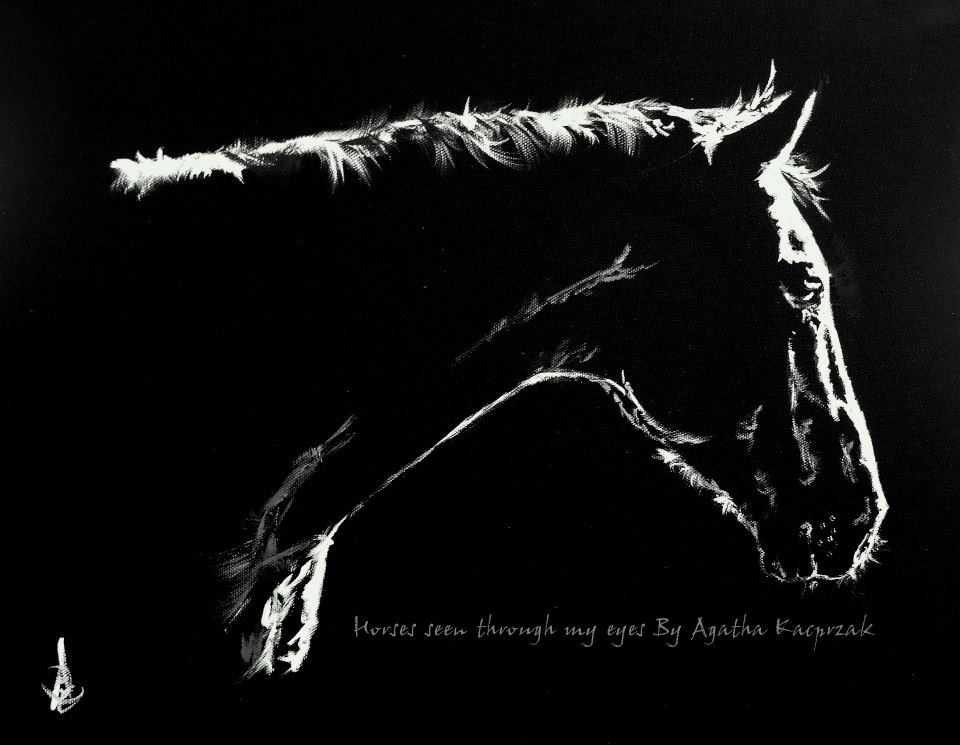 10152022_10152282388748397_1683132842_n