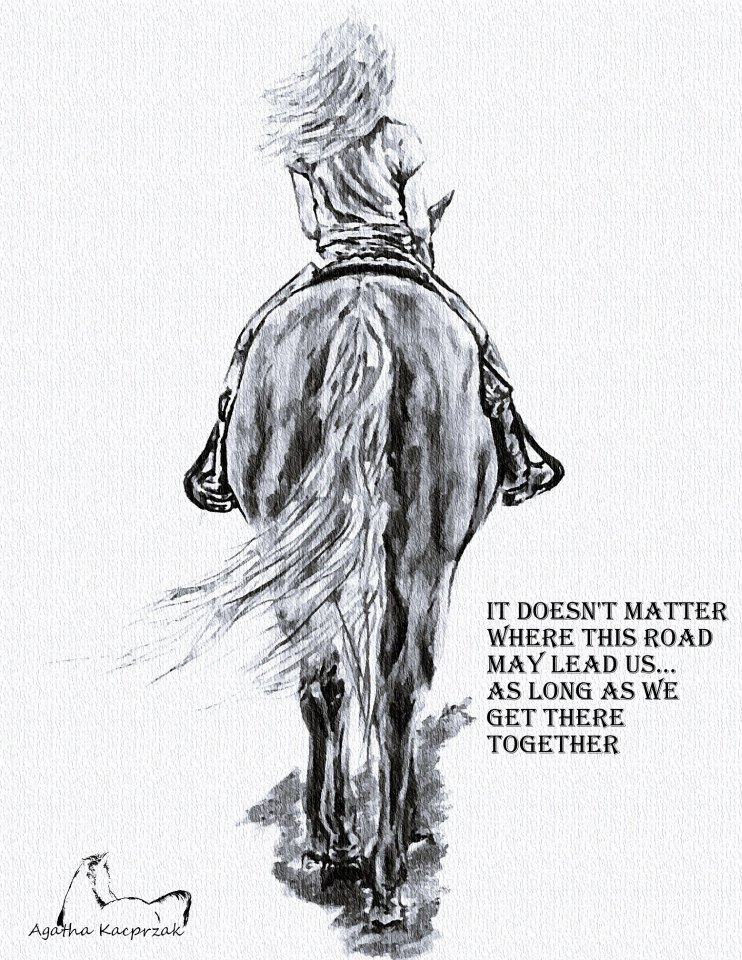 11169934_10153273022858397_1757449312576429772_n