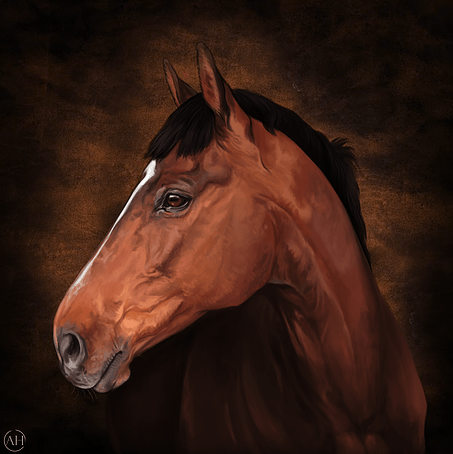 60652b_3442c567d1ab40949e944ae8e4257079-mv2