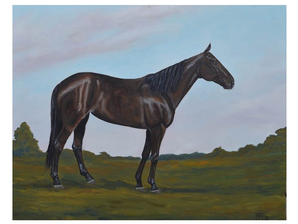 Bens Dropper Standardbred