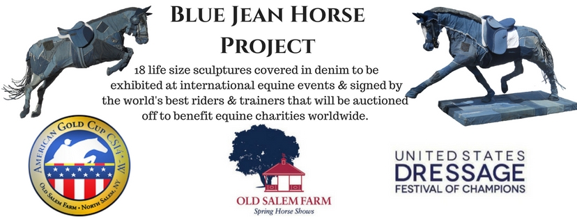 Blue Jean HorseProject.jpg