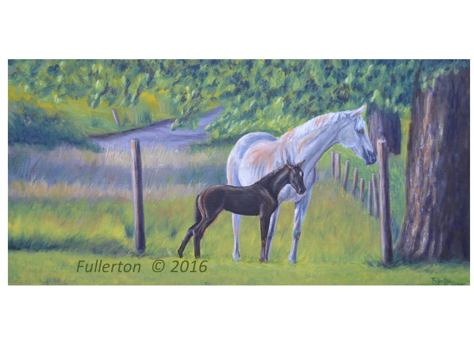 Hedleys colt 2016.jpg