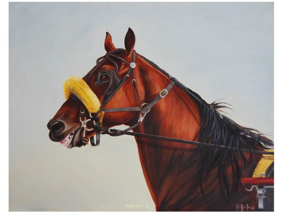 No Waiting for The art of The Horse (1)