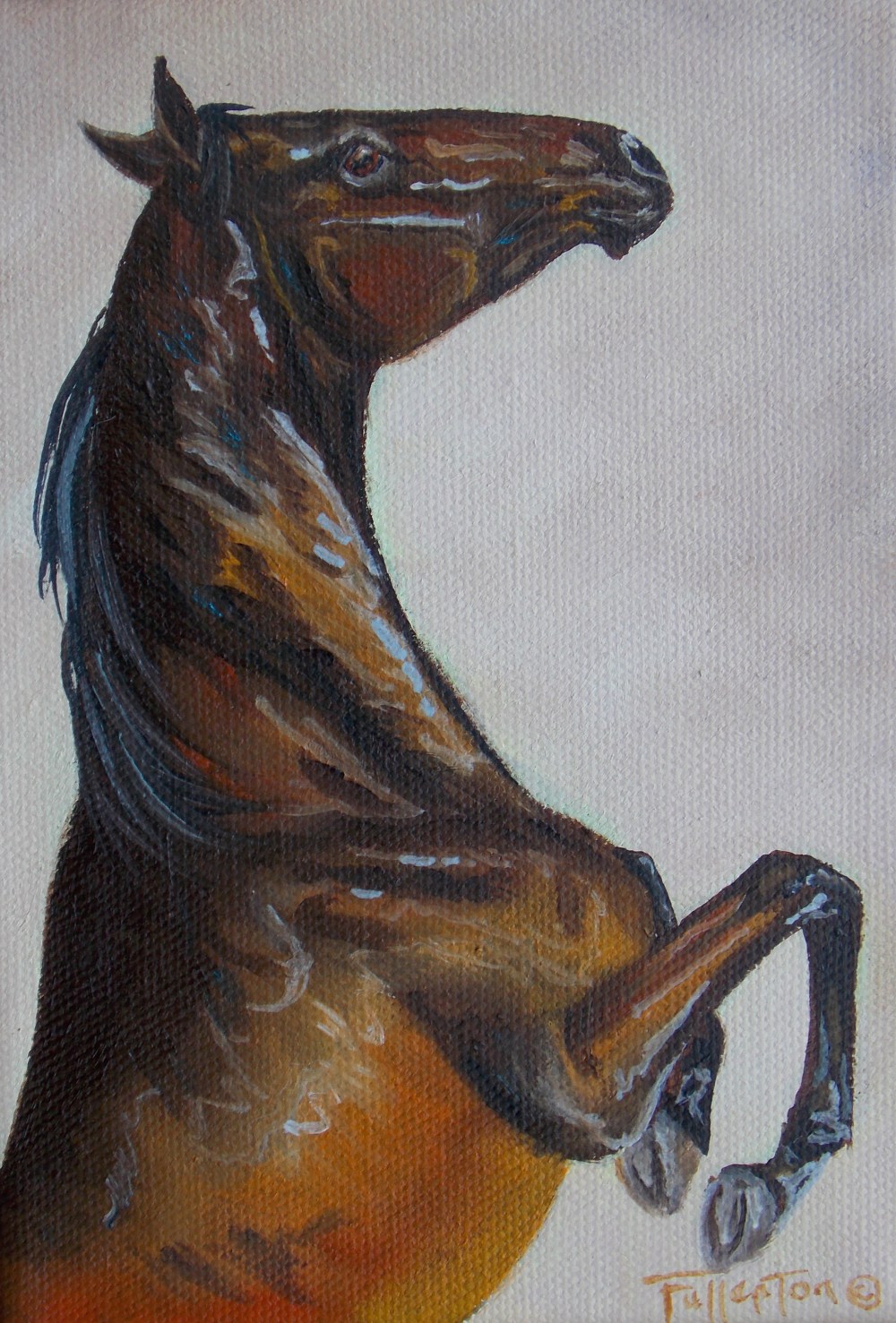 Rearing Lancaster Park TAS Website C Fullerton