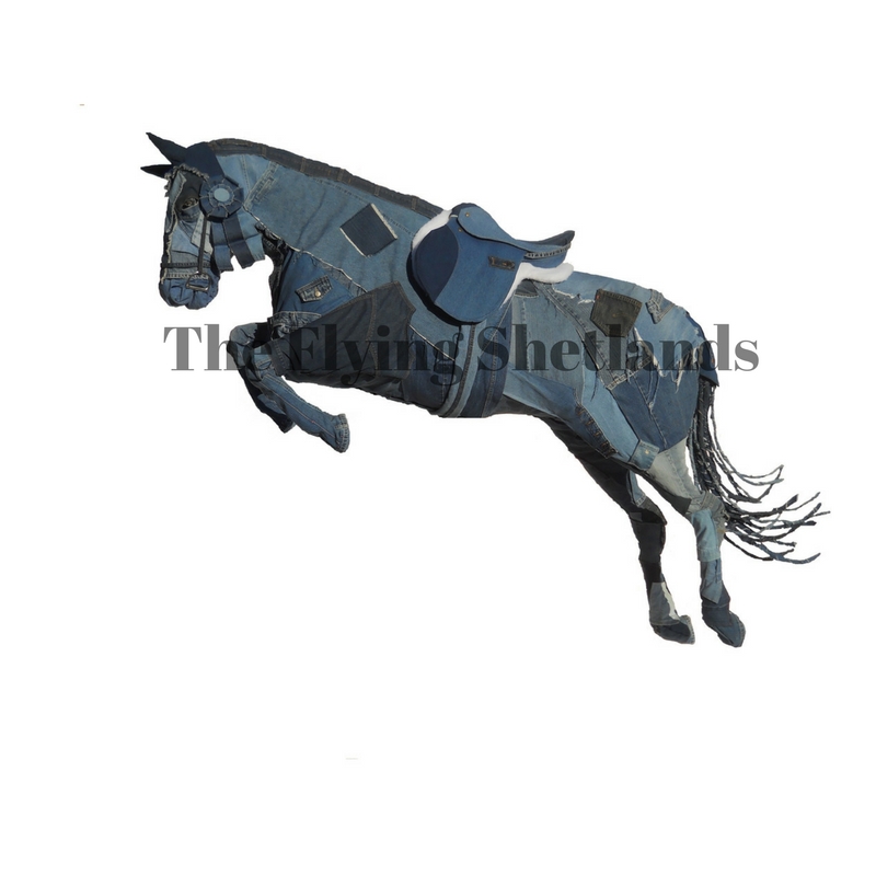 The Flying Shetlands (1).jpg