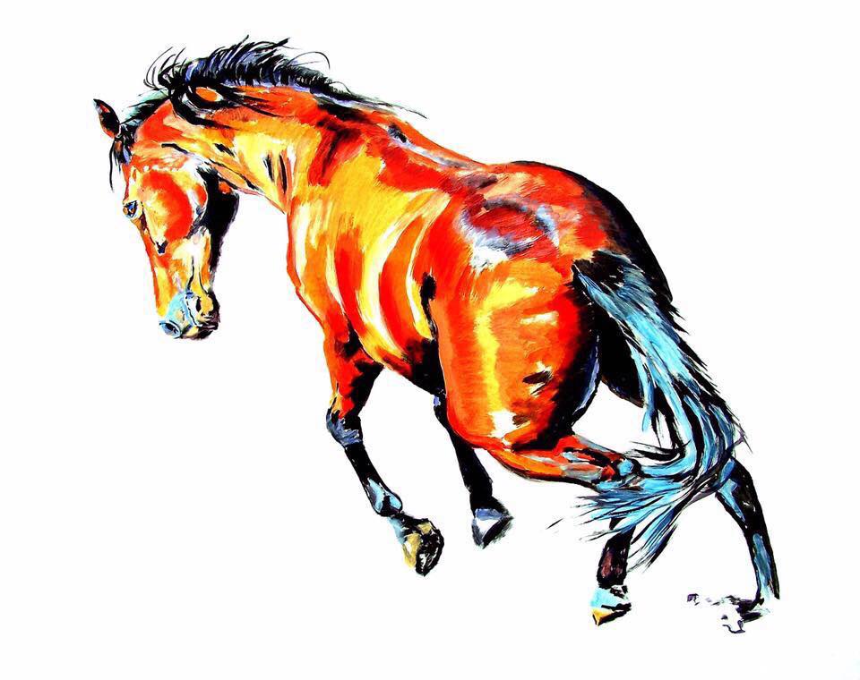 21272365_1991590487741689_6762460009315343976_n