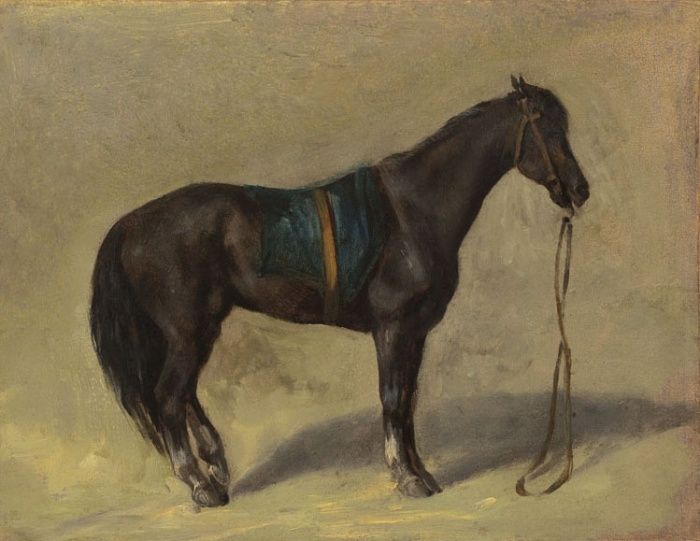 918594f02a305c496488e127e5008470--horse-paintings-equine-art