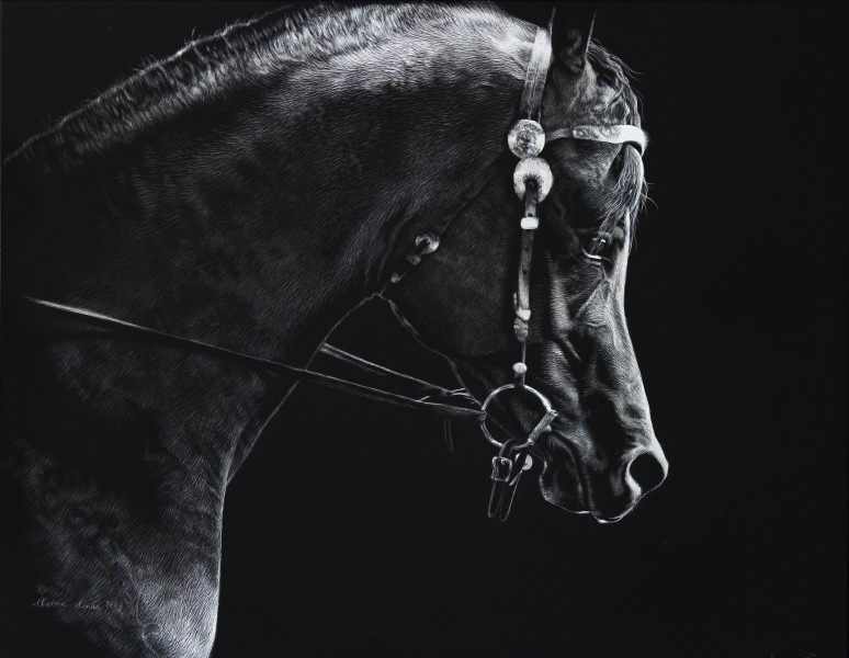 arabianscratchfinal-774x600