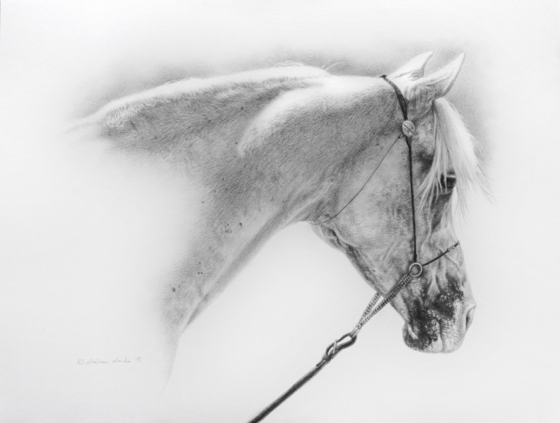 Elegant-Gray-795x600