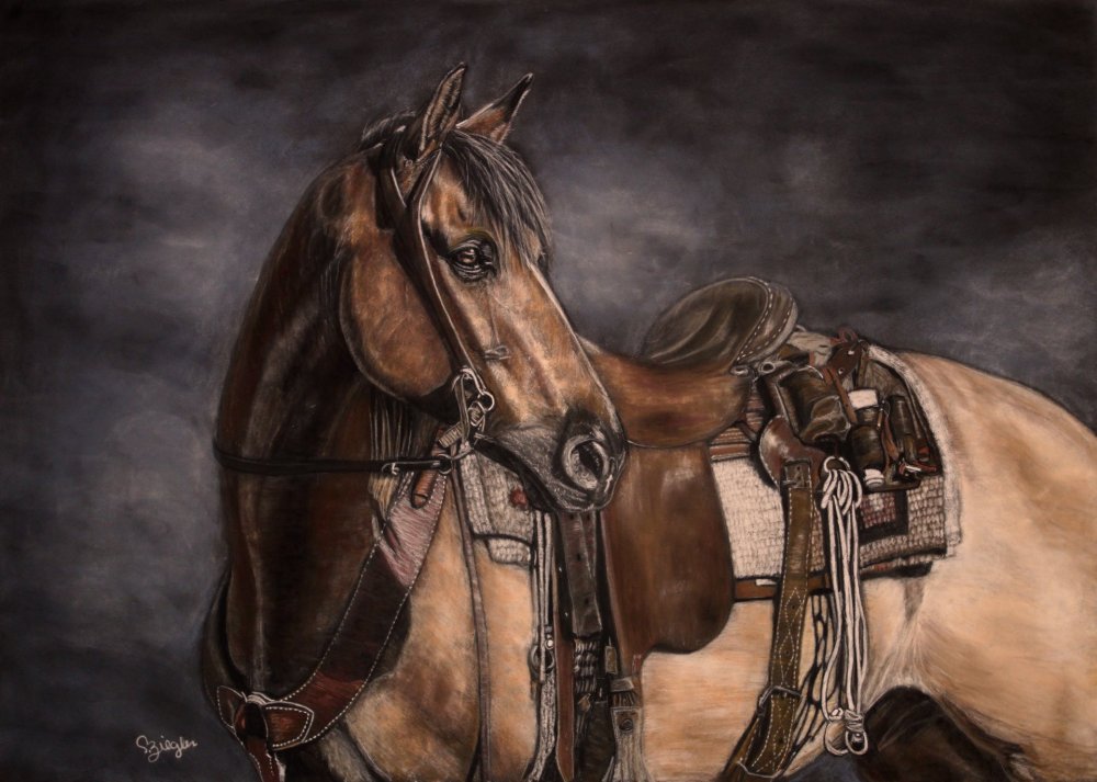 IMG_6548 2_Ww0r2aQoQsxStBuilqAL-3954x2820