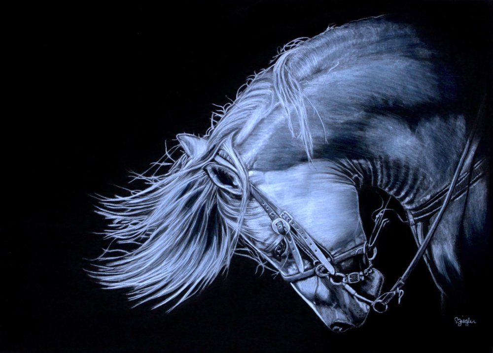 Mane Event-3875x2780