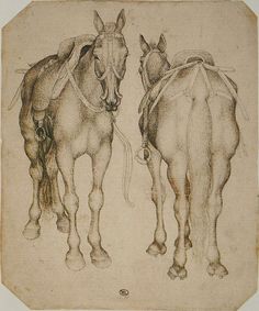 b39c96cba0cc60bf6a381b16e928409e--horse-drawings-animal-drawings