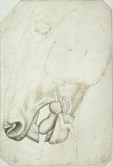 b9e85b6f729c54c9d9258dabf663576f--louvre-paris-horse-head