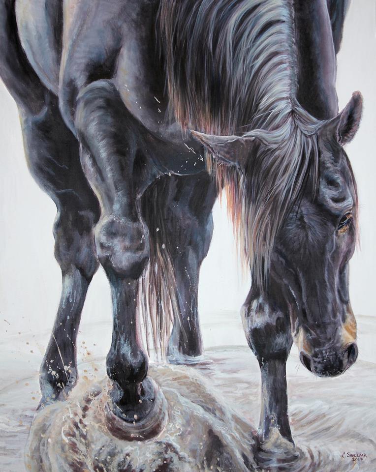 21192461_1521956761215486_7946076000927241592_n