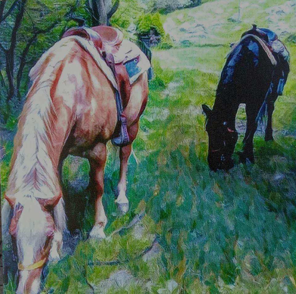 23794875_764122820464015_8721858470011870091_n