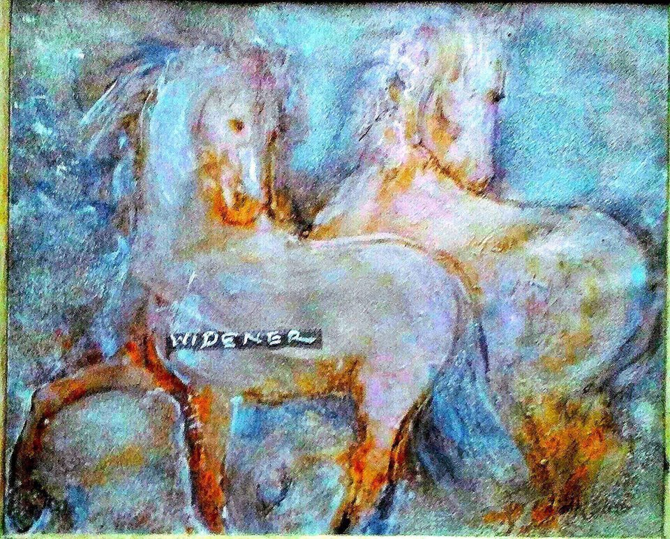 25152385_774007859475511_219768830934094602_n