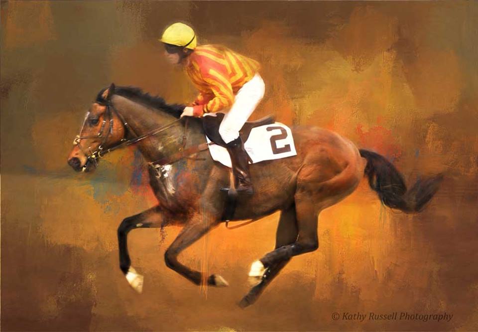 17498788_1290995174318350_7858248676421540745_n