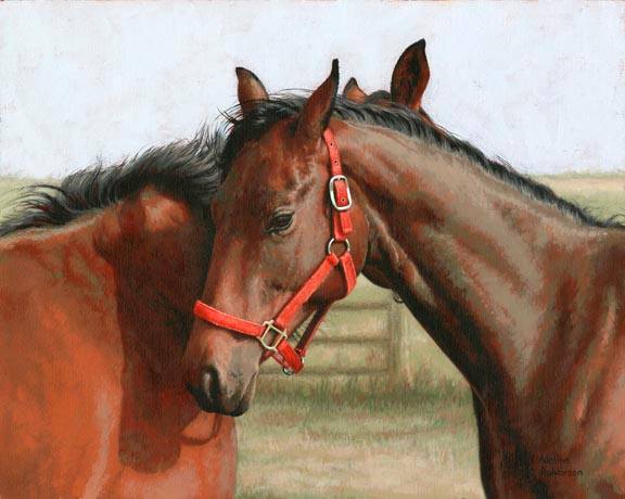 19598941_10155329000201977_6216818120060448761_n