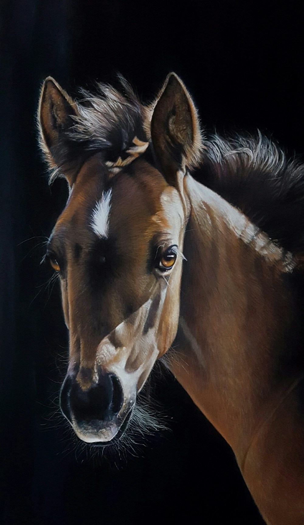 20170906_231032_resized