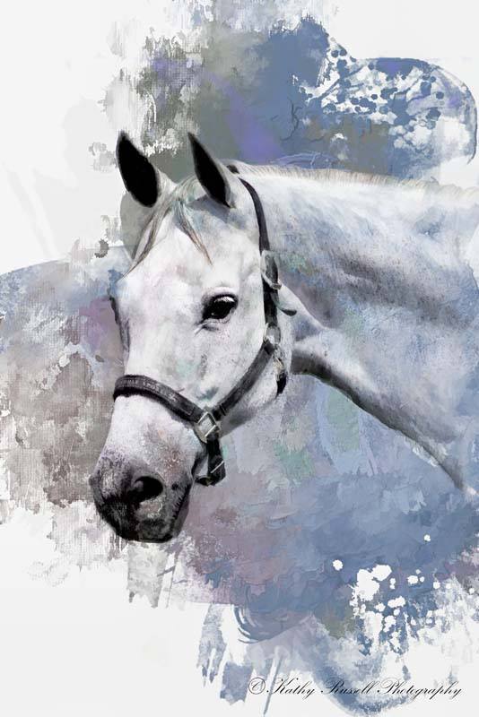 20245465_1418644461553420_8333829802752527842_n