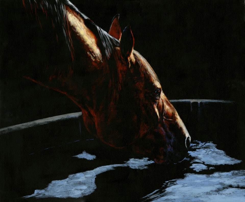 23472075_10155884092756977_6002792581925864043_n