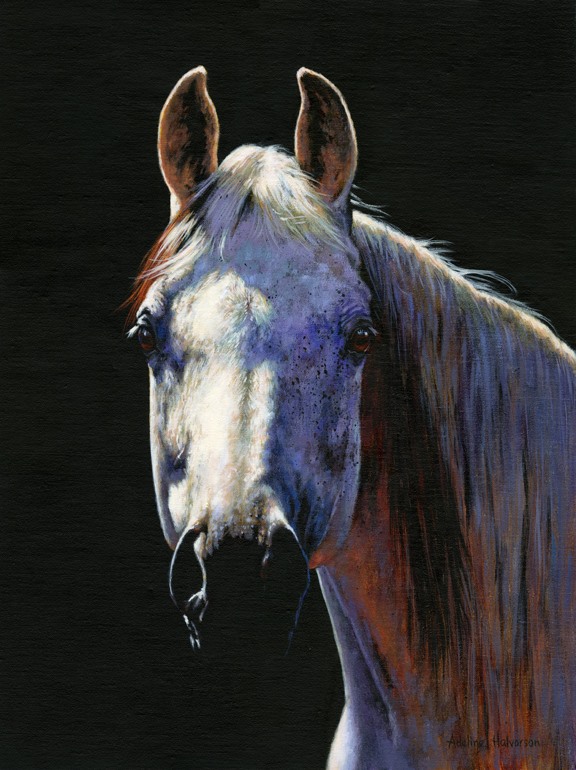 23844645_10155927983396977_3790648107766401911_n