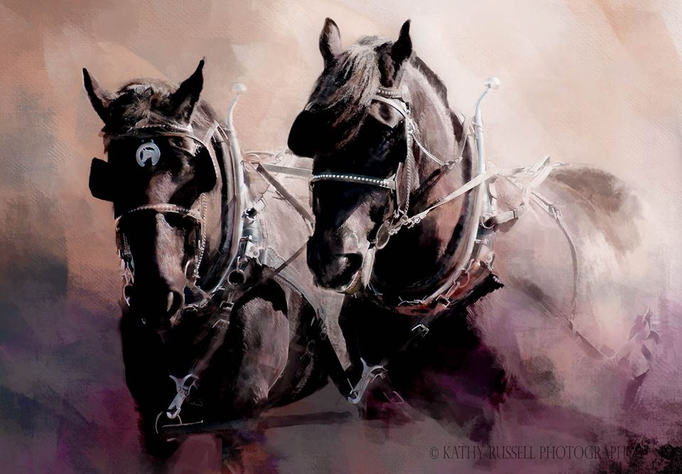 26229900_1565436220207576_5530451999050447889_n