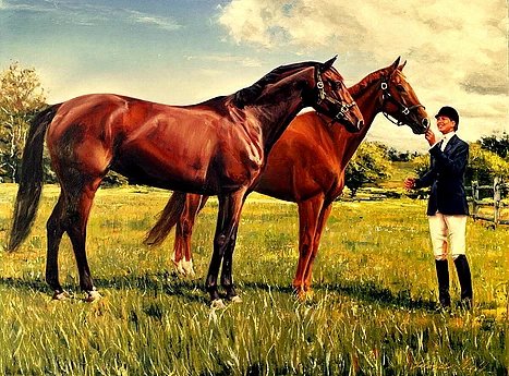 bbedd5_30d1d157135e415196e997012bef113e