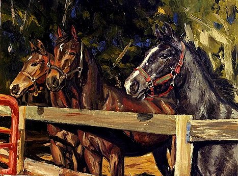 bbedd5_73d0cd36bd1a44c9bafe085bb1ee3f14