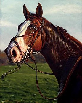 bbedd5_de309632385c4b62b23f918a4cee7e7a