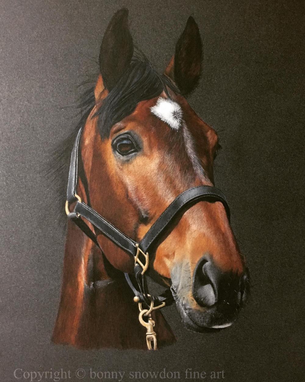 19143118_1847421238911741_3570449053713187874_o