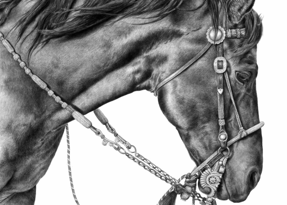 Poetry in motion web