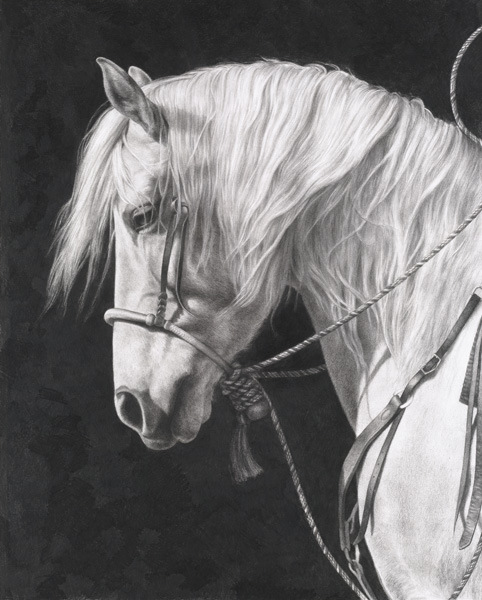 web Horse091812 cc rt