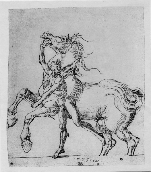 A.Duerer, Nackter Mann mit Pferd - A.Duerer, Nude Man with Horse / 1525 -