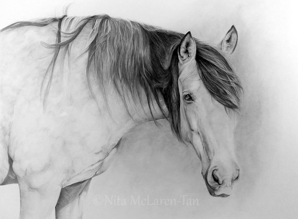 34849809_1704929186267458_7017882755283288064_n