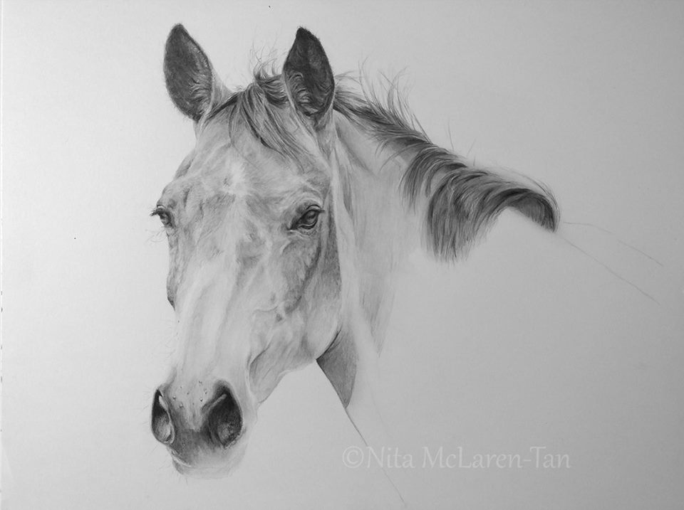 34885653_1704929169600793_5264760178313527296_n