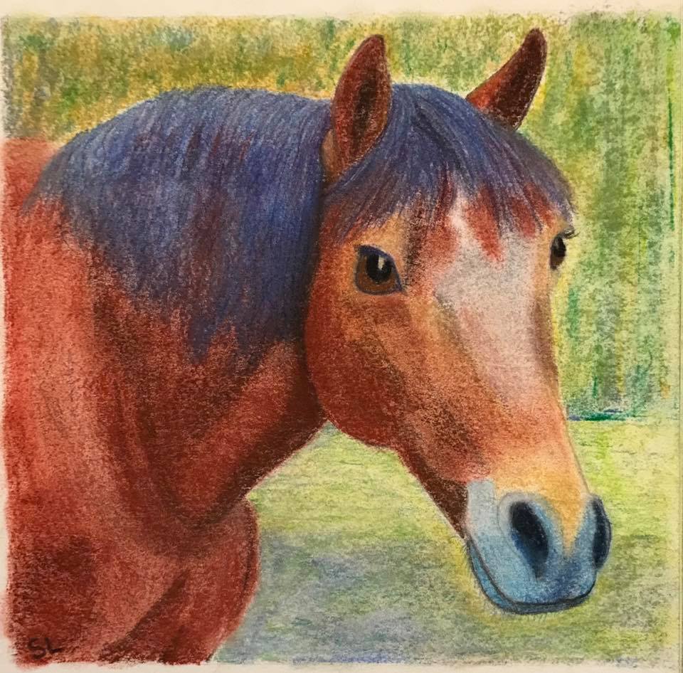 45707314_10213445738923240_5722128282137133056_n