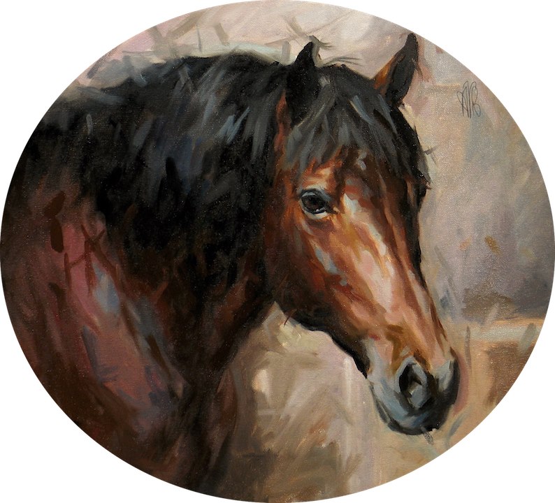 46409851_10216105863872371_4567095912773451776_n